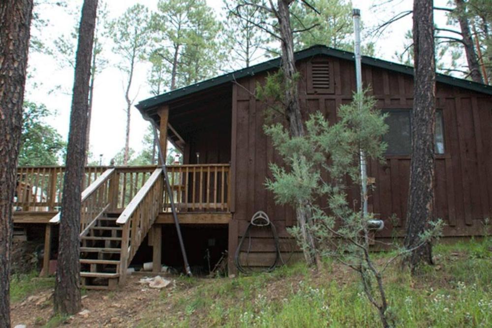 Beary Comfy Cabin
